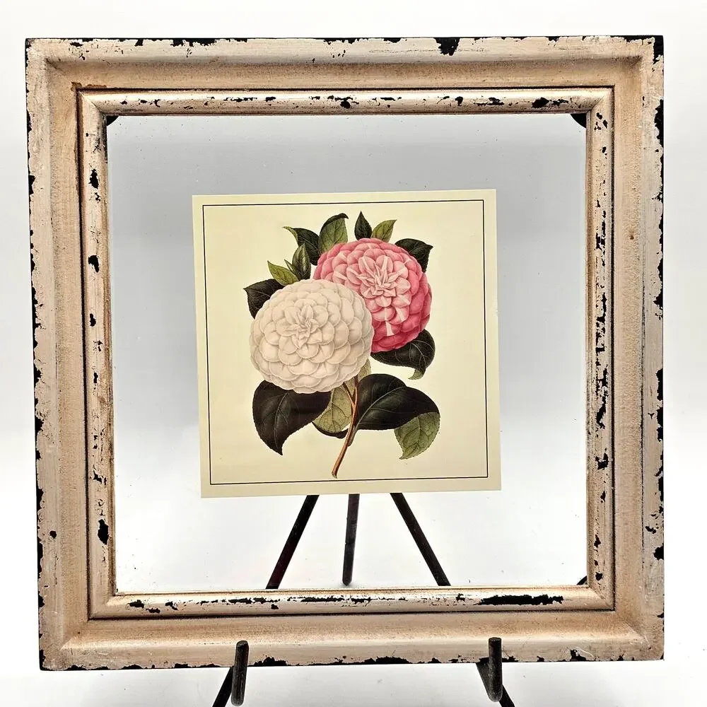 Set Of 2 Botanical Floral Prints Distressed Shabby Chic Camellia Framed Art